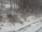 20151126_110742