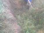 20161017_080959