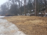 20170202_154836